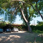 Zarkadis 4* Tsilivi (Zakynthos)